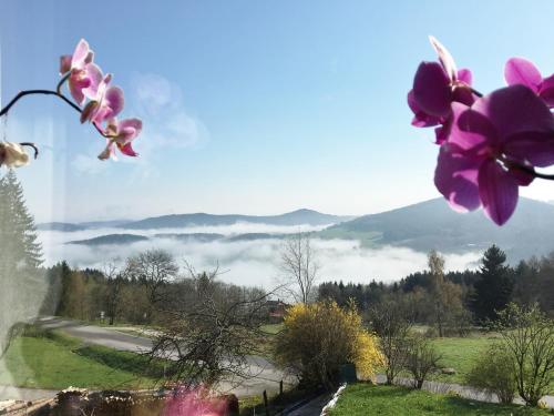 Фотография гостевого дома Ferienhaus am Kagerstein