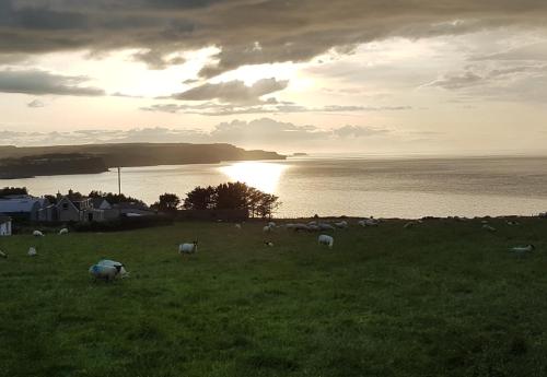 Фотография гостевого дома Tornabodagh House