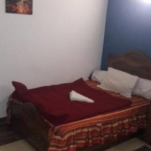 Фотографии хостела
Pharoah's Palace