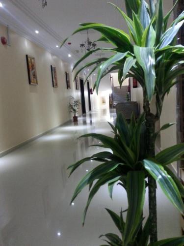 Фотография апарт отеля Lara Al Jawf Hotel Apartments