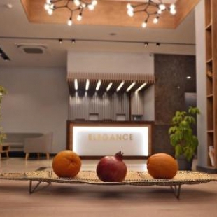 Фотография гостиницы Hotel Elegance