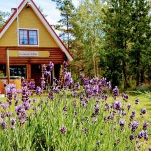 Фотографии гостевого дома 
            Lootuse Spa