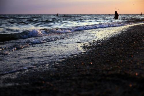 Фотографии гостиницы
Прибрежный