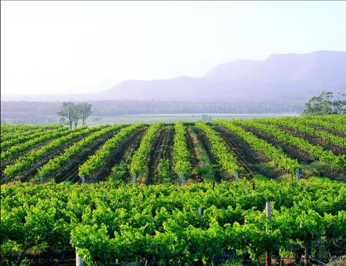 Фотография гостиницы Hunter Valley Resort