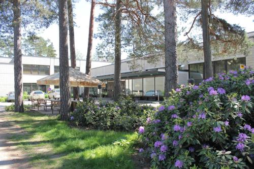 Фотография гостиницы Hotel Sofia