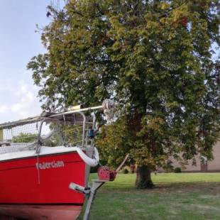 Фотографии гостевого дома 
            Domizil & Dümmer