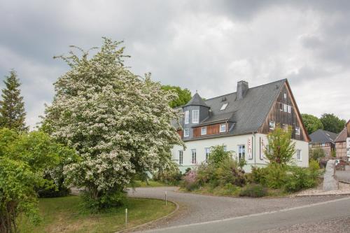 Фотография гостиницы Landhotel Gutshof