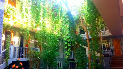 Фотография мини отеля Hotel Rahmon