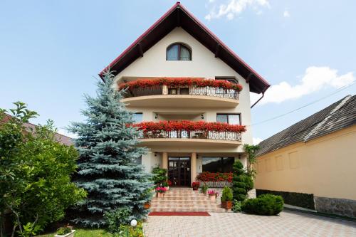 Фотографии гостевого дома
Pensiunea Casa cu Flori