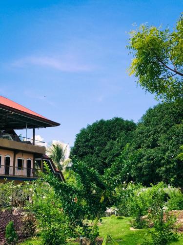 Фотография гостиницы La Plumerias