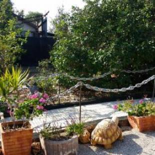 Фотографии гостевого дома
Asbn Magic Garden