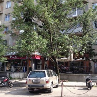 Фотография хостела Homestay On Mtskheta