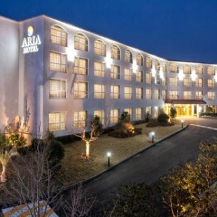 Фотография гостиницы Aria Hotel