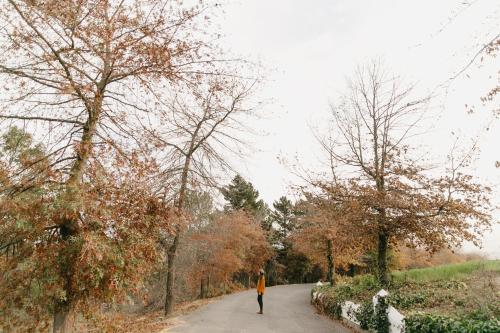 Фотография базы отдыха Zevenwacht Cottages