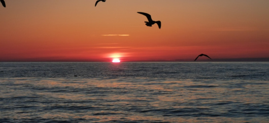 Фотографии квартиры
Квартира в Зеленоградске