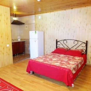 Фотография мини отеля Алисия