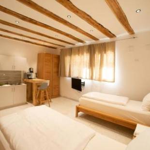 Фотографии гостевого дома 
            GarDar Studio Fox