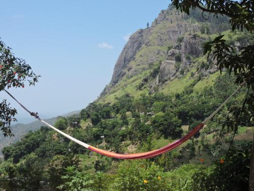 Фотография гостиницы Misty Hills Ella Resort