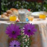 Фотография гостиницы Hotel del Centro