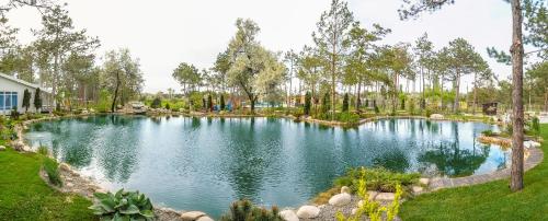 Фотографии гостиницы
Вита Парк