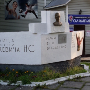 Фотография памятника Памятник Н. С. Синкевичу