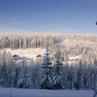 Фотографии гостевого дома
Karkutahko Villas