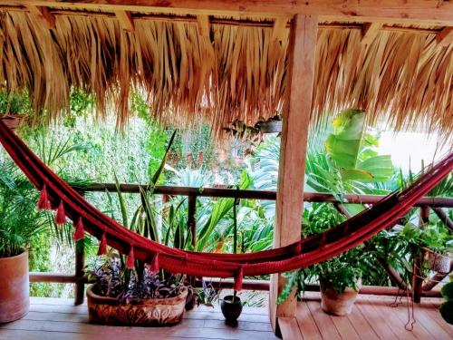 Фотография гостиницы Hotel Casa Mixteca