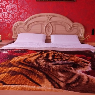 Фотография квартиры Квартира Уютная двухкомнатная