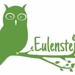 Фотографии гостиницы
Hotel Eulensteins