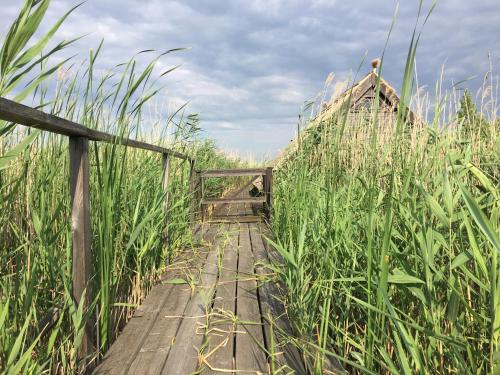 Фотография гостевого дома Romantika 5 Beach Bungalow