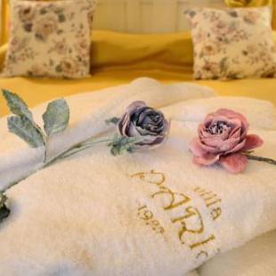 Фотографии гостиницы
Villa Paris