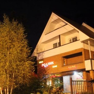 Фотография гостиницы Родник