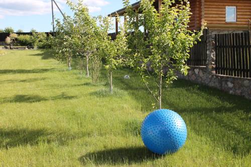 Фотография гостевого дома Усадьба у Дрозда