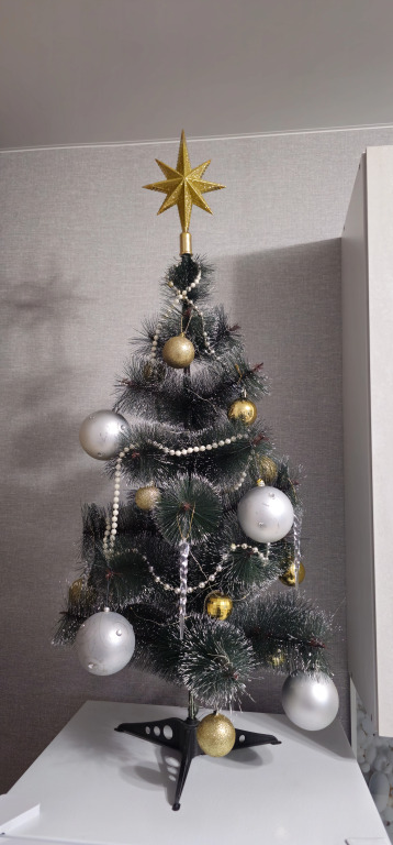 Фотография квартиры Квартира на Петра Метальникова 36