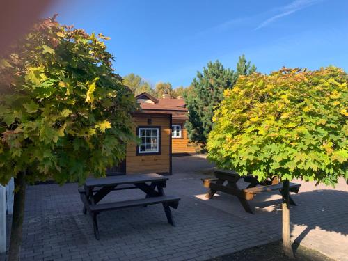 Фотография гостиницы Парк-отель ИСТОРИЯ