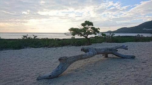 Фотография мини отеля Seeing Sunshine Homestay