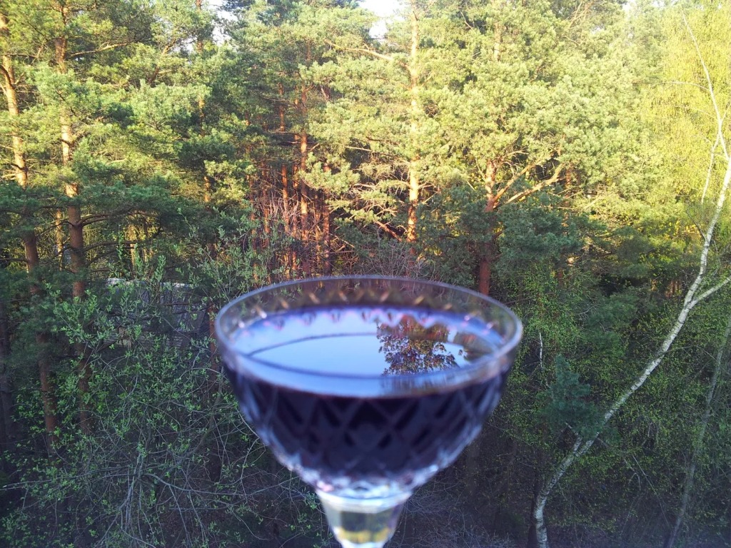 Фотография квартиры Апартаменты Philisa na Turbaze