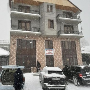 Фотография гостиницы Давид Годердзи