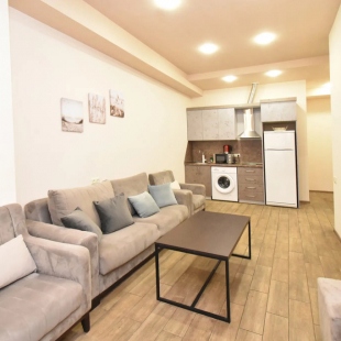 Фотография квартиры Апартаменты Амиряна 4/4 кв 45/1