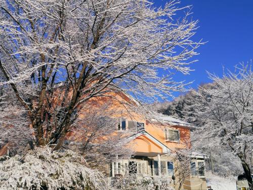 Фотографии мини отеля
Pension Green Field