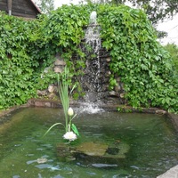 Фотография гостиницы Водопад