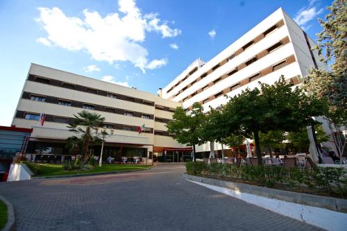 Фотография гостиницы Hotel Torremangana