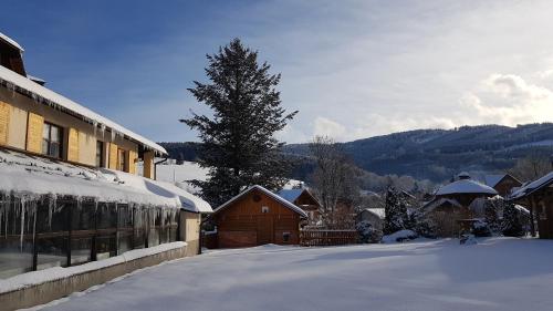 Фотография гостиницы Hotel STARÝ MLÝN