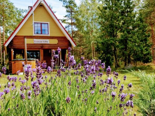 Фотография гостевого дома Lootuse Spa