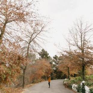 Фотографии базы отдыха
Zevenwacht Cottages
