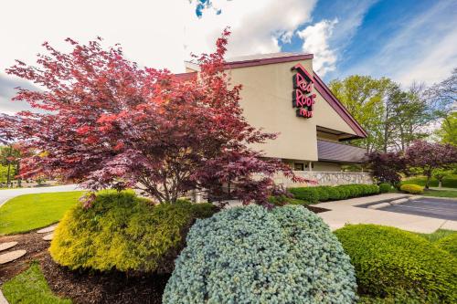 Фотографии мини отеля
Red Roof Inn Cincinnati Northeast - Blue Ash