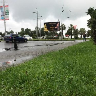 Фотография гостиницы Zeytoon