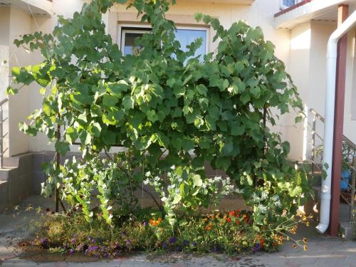 Фотография гостевого дома На 65 Лет Победы