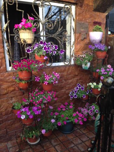 Фотография гостевого дома LELA