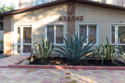 Фотография гостиницы Азалия
